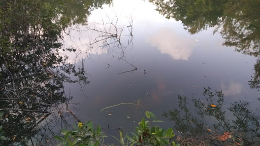 Public Golf Course «Greynolds Golf Course», reviews and photos, 17530 West Dixie Highway, North Miami Beach, FL 33160, USA