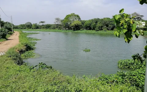 Attidiya Bird Sanctuary image