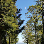 Photo n°2 de l'avis de Michael.a fait le 16/05/2019 à 06:05 sur le  Pension Forsthaus Georgshöhe à Thale