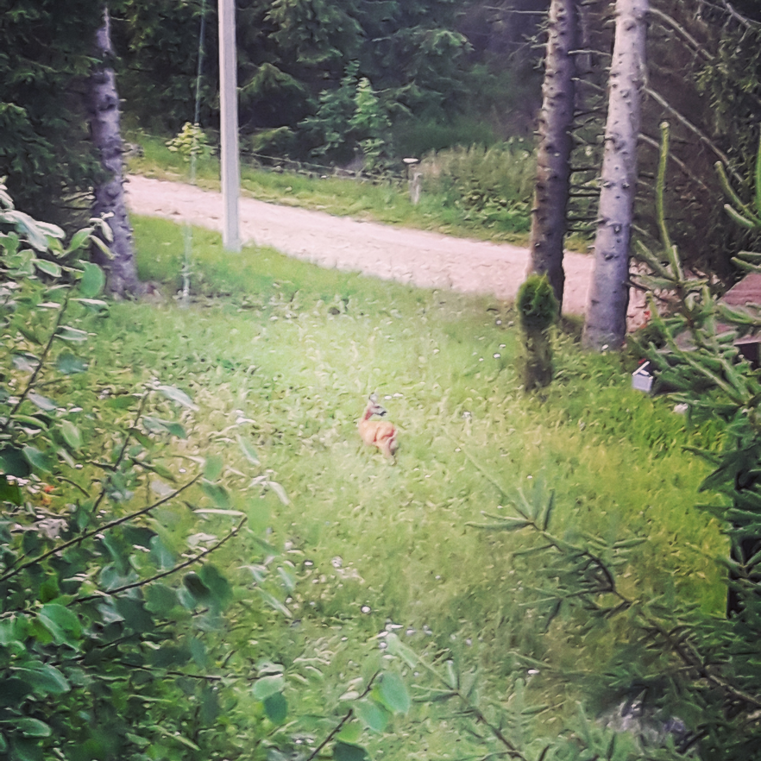Photo n° 2 de l'avis de Neo.o fait le 08/07/2018 à 09:04
