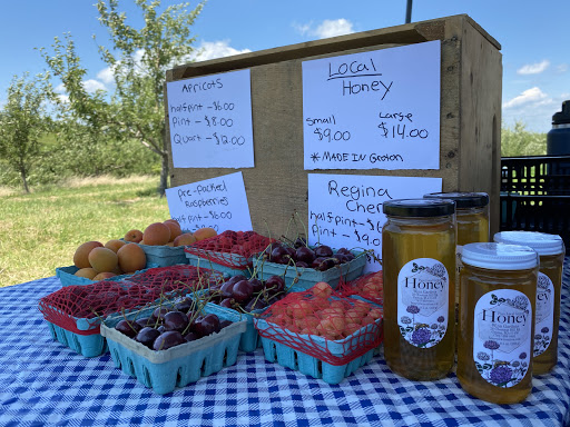 Orchard «Autumn Hills Orchard», reviews and photos, 495 Chicopee Row, Groton, MA 01450, USA