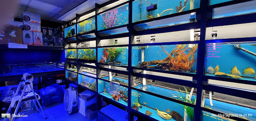 Tropical Fish Store «New York Reef Aquatic», reviews and photos, 45-62 162nd St, Flushing, NY 11358, USA