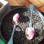 Photo n°7 de l'avis de Gaia.i fait le 31/12/2019 à 09:28 sur le  AlpiNN à Bruneck