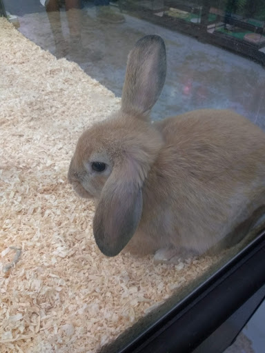 Animal Feed Store «Franklin Hardware & Pet Center», reviews and photos, 1975 Philadelphia Ave, Chambersburg, PA 17201, USA