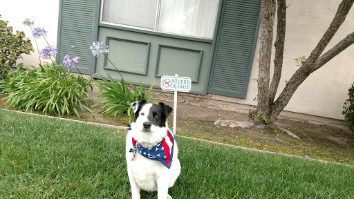 Shopping Mall «Westcliff Plaza», reviews and photos, 1000-1150 Irvine Ave, Newport Beach, CA 92660, USA