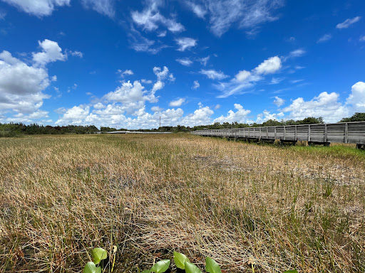 Nature Preserve «Chapel Trail Nature Preserve», reviews and photos, 19800 Sheridan St, Fort Lauderdale, FL 33332, USA