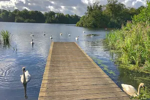 Bolam Lake Country Park image