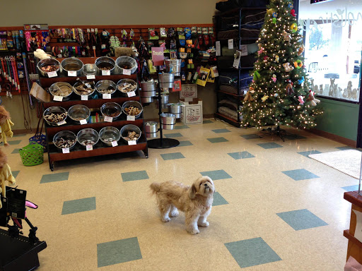 Pet Supply Store «Holistic Pet», reviews and photos, 13567 NW Cornell Rd, Portland, OR 97229, USA