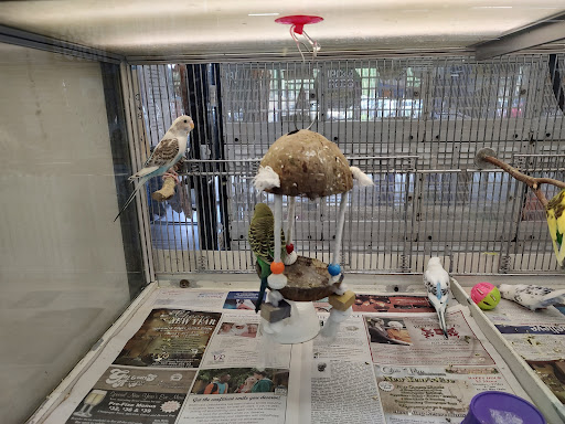 Pet Store «Pets Plus», reviews and photos, 4450 E Black Horse Pike, Mays Landing, NJ 08330, USA