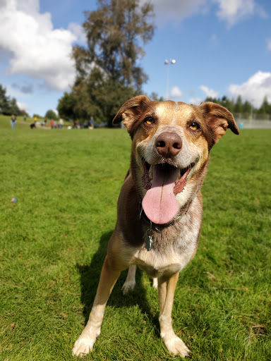 Park «Gabriel Park», reviews and photos, SW 45th Ave & Vermont Street, Portland, OR 97219, USA