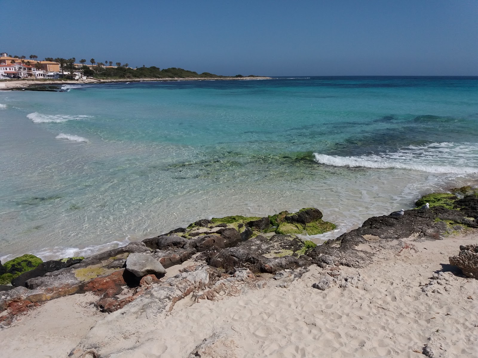 Foto de Punta Prima Beach com areia fina e brilhante superfície