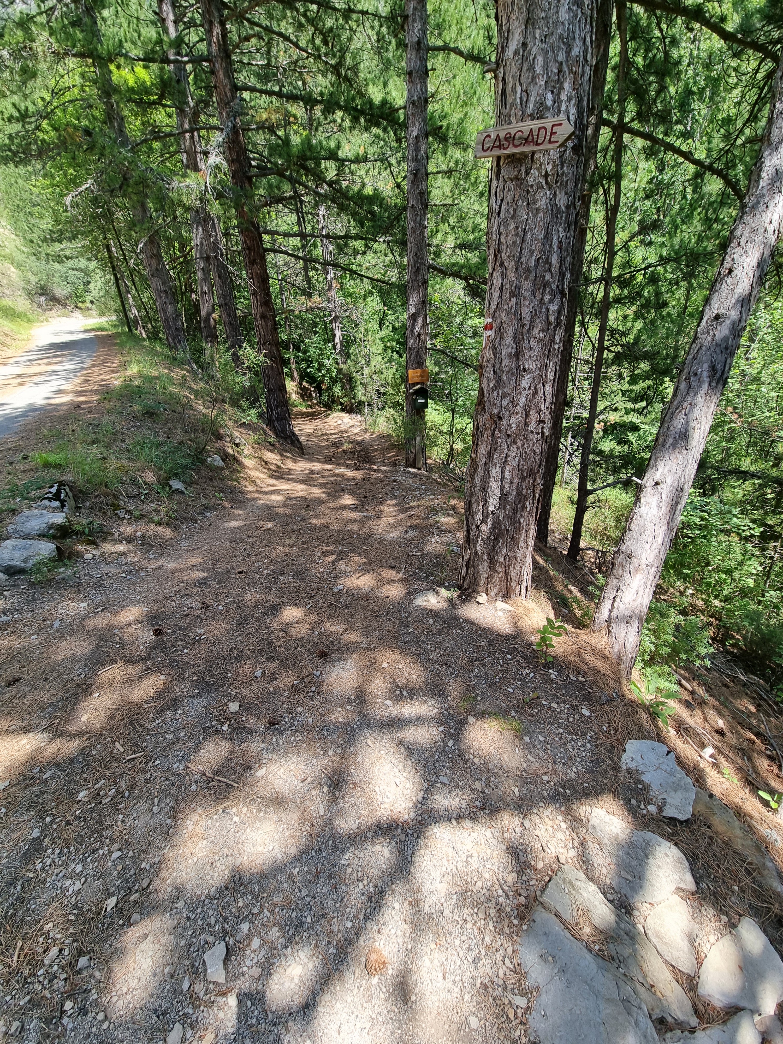 Photo n° 5 de l'avis de Viktória.i fait le 16/07/2022 à 14:18