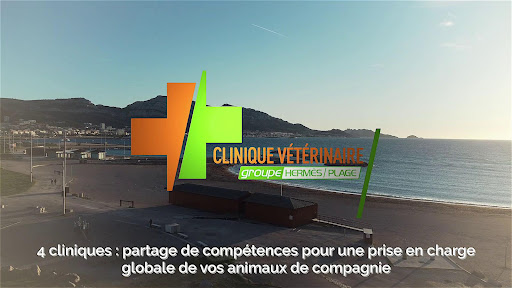 Veterinary Clinic of the Beach