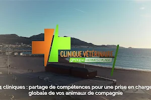 Veterinary Clinic of the Beach image