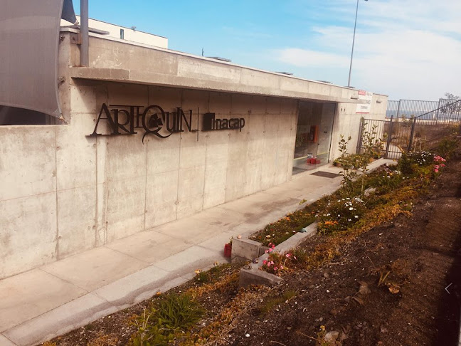 Museo Artequin-Inacap - Antofagasta
