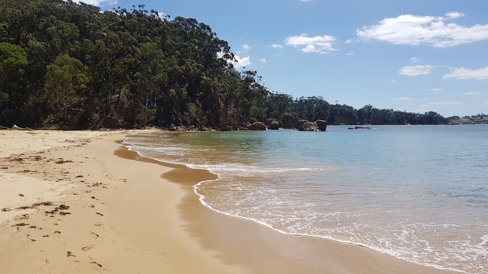 Bungo Beach'in fotoğrafı #43 ile birlikte