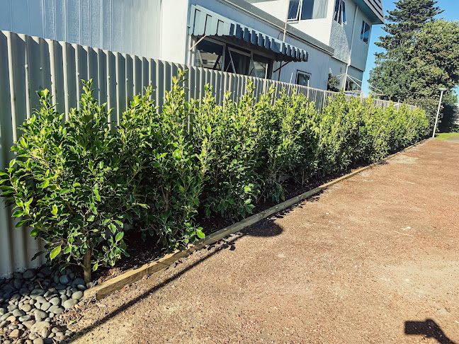 Reviews of Sustainable Scapes in Gisborne - Landscaper