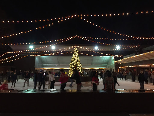 Skating instructor Santa Clara