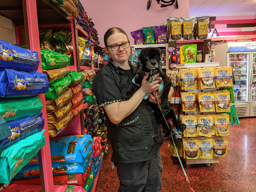 Pet Groomer «Woof Gang Bakery & Grooming Las Vegas», reviews and photos, 7080 N Durango Dr #140, Las Vegas, NV 89149, USA