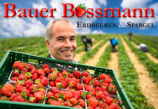 Bauer Boss Man - Strawberries & asparagus