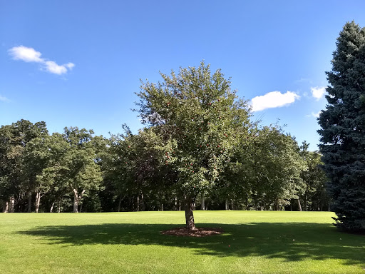 Golf Club «Glenway Golf Course», reviews and photos, 3747 Speedway Rd, Madison, WI 53705, USA