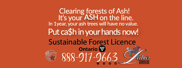 Leclair Forestry Services