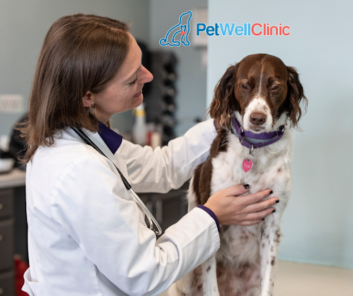 PetWellClinic - North Bethesda image