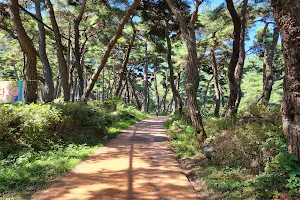 봉곡사 천년의 숲길 image