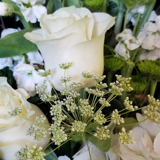 Florist «Mills & Young Florists», reviews and photos, 7122 Dixie Hwy, Louisville, KY 40258, USA