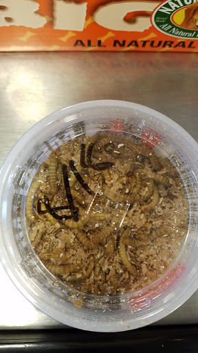 Pet Supply Store «PetSmart», reviews and photos, 12483 Limonite Ave, Mira Loma, CA 91752, USA