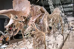 Mifune Dinosaur Museum image