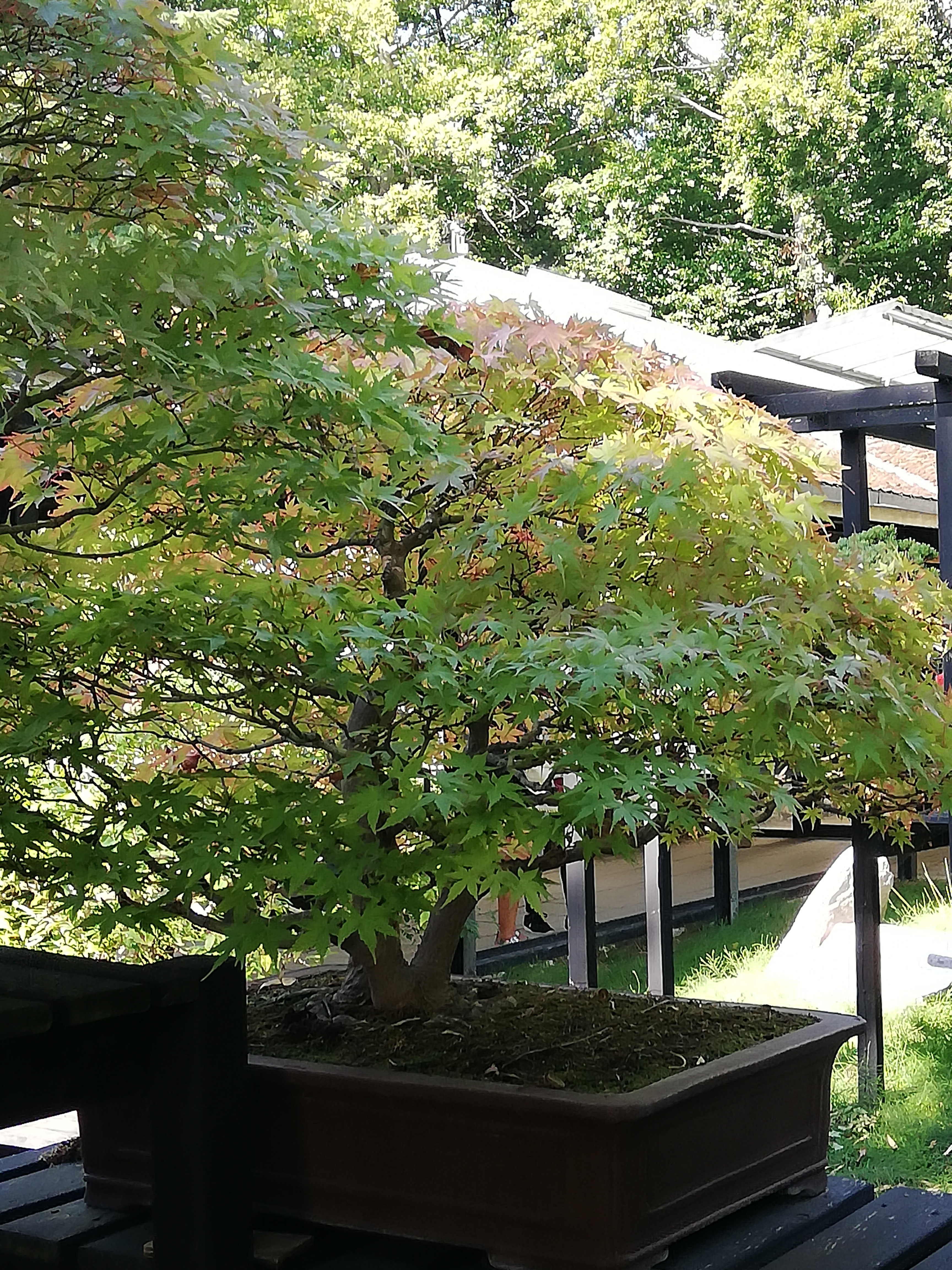 Photo n° 21 de l'avis de Samia.e fait le 16/08/2020 à 16:39