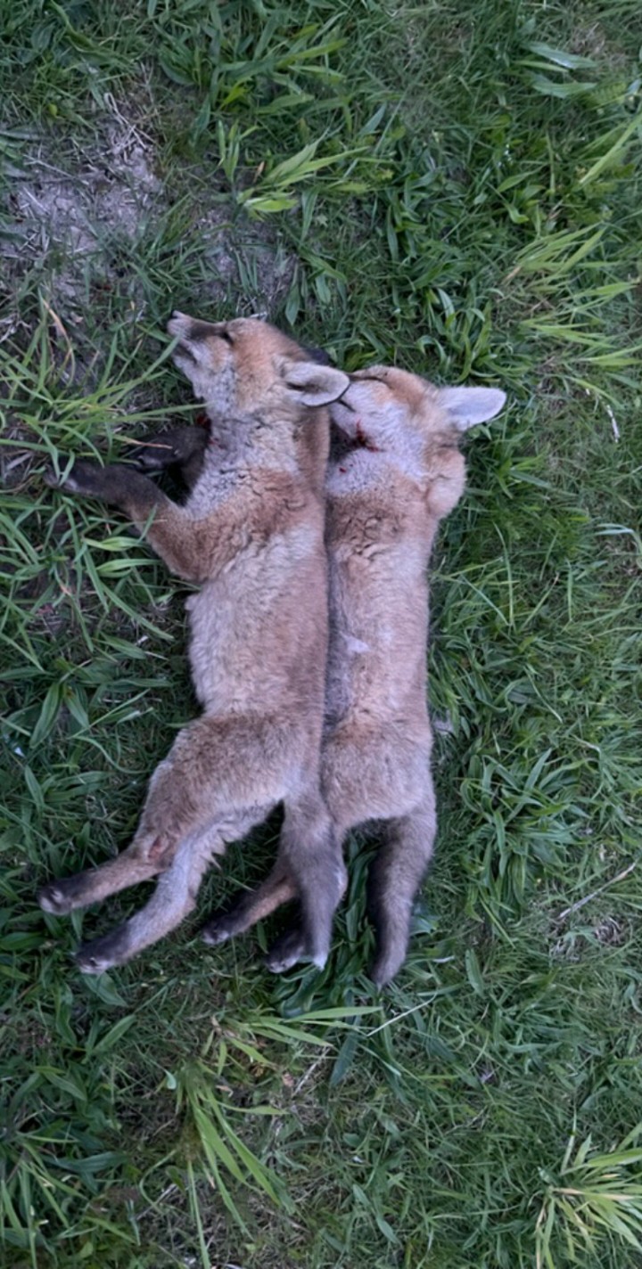 Photo n° 1 de l'avis de Remi.o fait le 20/06/2022 à 19:11