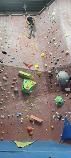 Rock Climbing «Summit Climbing, Yoga & Fitness – Grapevine», reviews and photos, 1040 Mustang Dr, Grapevine, TX 76051, USA