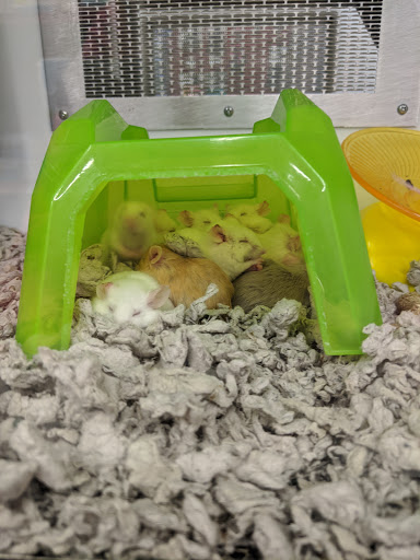 Pet Supply Store «Petco Animal Supplies», reviews and photos, 4491 Kirkwood Hwy, Wilmington, DE 19808, USA