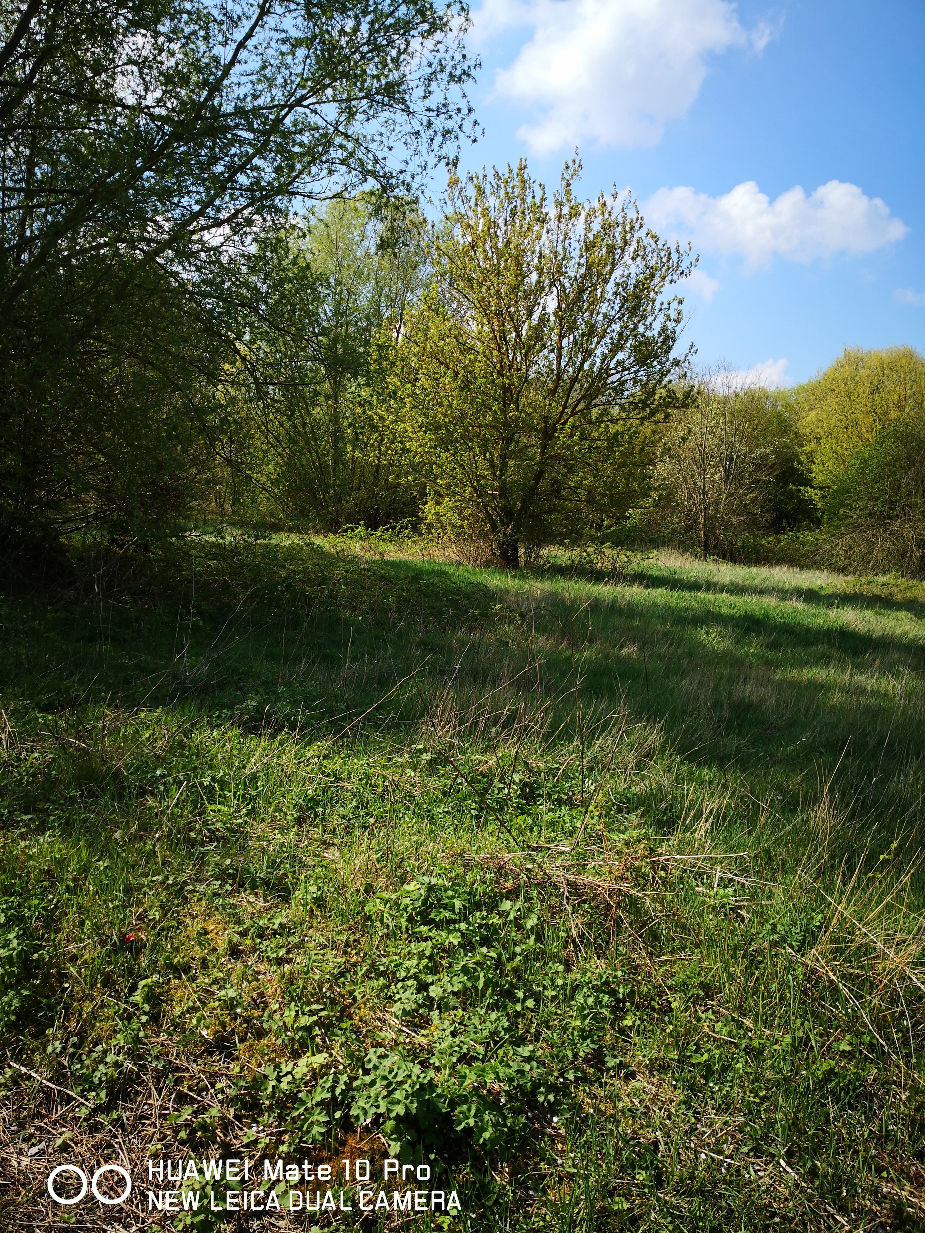 Photo n° 12 de l'avis de John.e fait le 13/04/2019 à 13:12