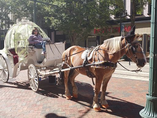 Nut Store «Peanut Shoppe Main Street», reviews and photos, 24 S Main St, Memphis, TN 38103, USA