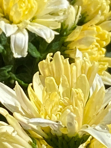 Home Improvement Store «The Home Depot», reviews and photos, 2455 E Imperial Hwy, Brea, CA 92821, USA