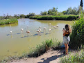 Parc Ornithologique du Pont de Gau Saintes-Maries-de-la-Mer