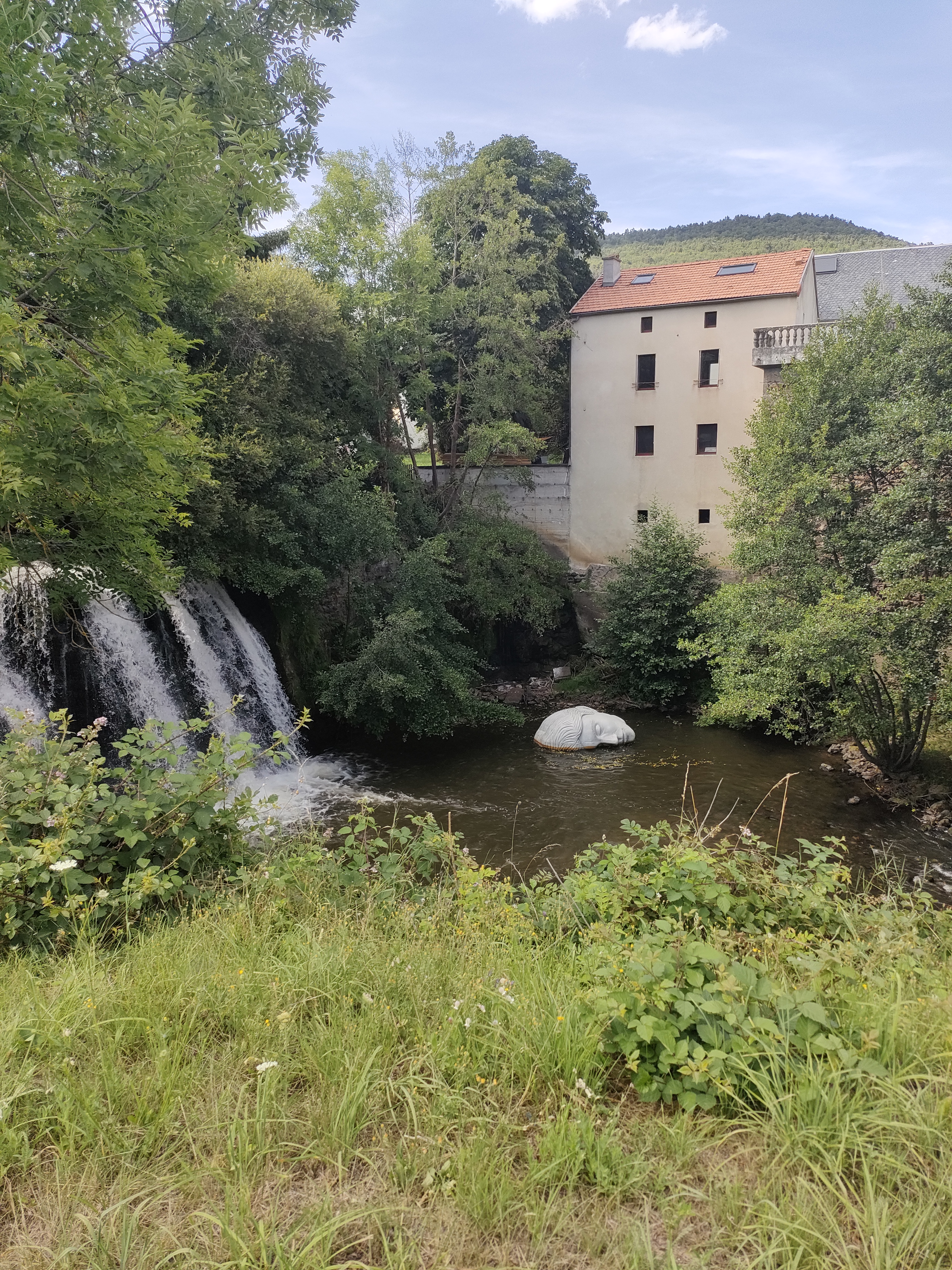 Photo n° 2 de l'avis de Soledad. fait le 18/07/2023 à 16:49
