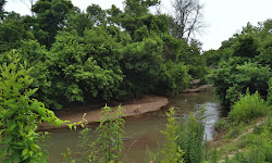 Muddy Creek Greenway