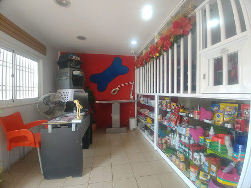 Tiendas de venta de chihuahuas en Maracaibo