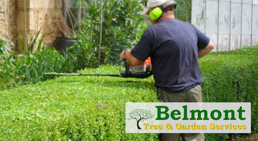 Belmont Tree and Garden Services