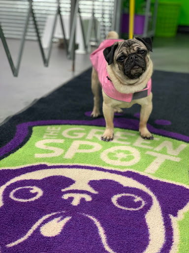 Pet Supply Store «The Green Spot», reviews and photos, 1110 S 71st St, Omaha, NE 68106, USA