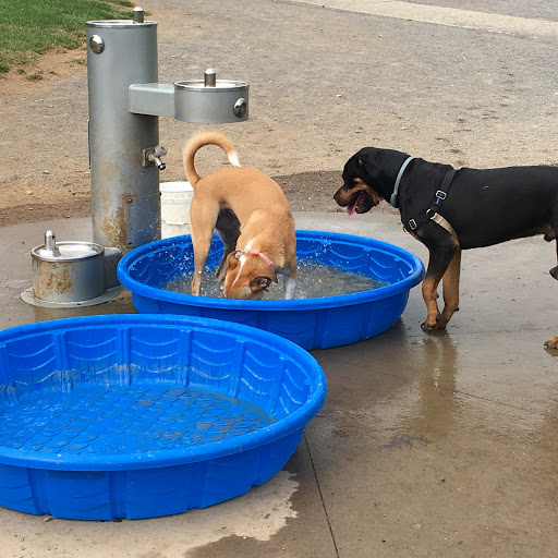 Two Rivers Dog Park
