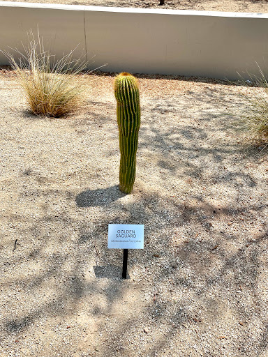 Brinton Desert Botanical Garden