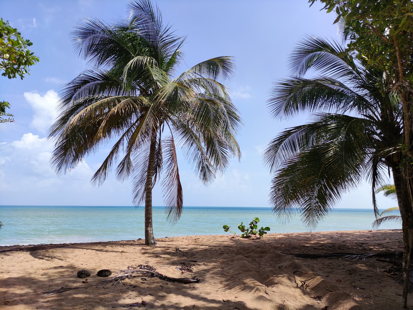 Photo de Plage des Amandiers avec un niveau de propreté de partiellement propre