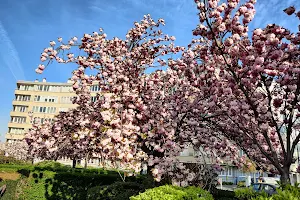 Parc du Roi Vainqueur image