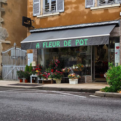 A FLEUR DE POT à Brignais