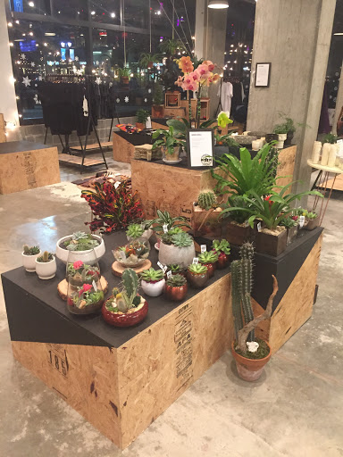 Wholesale Florist «Urban Jungle», reviews and photos, 2603 Sherman Ave NW, Washington, DC 20001, USA